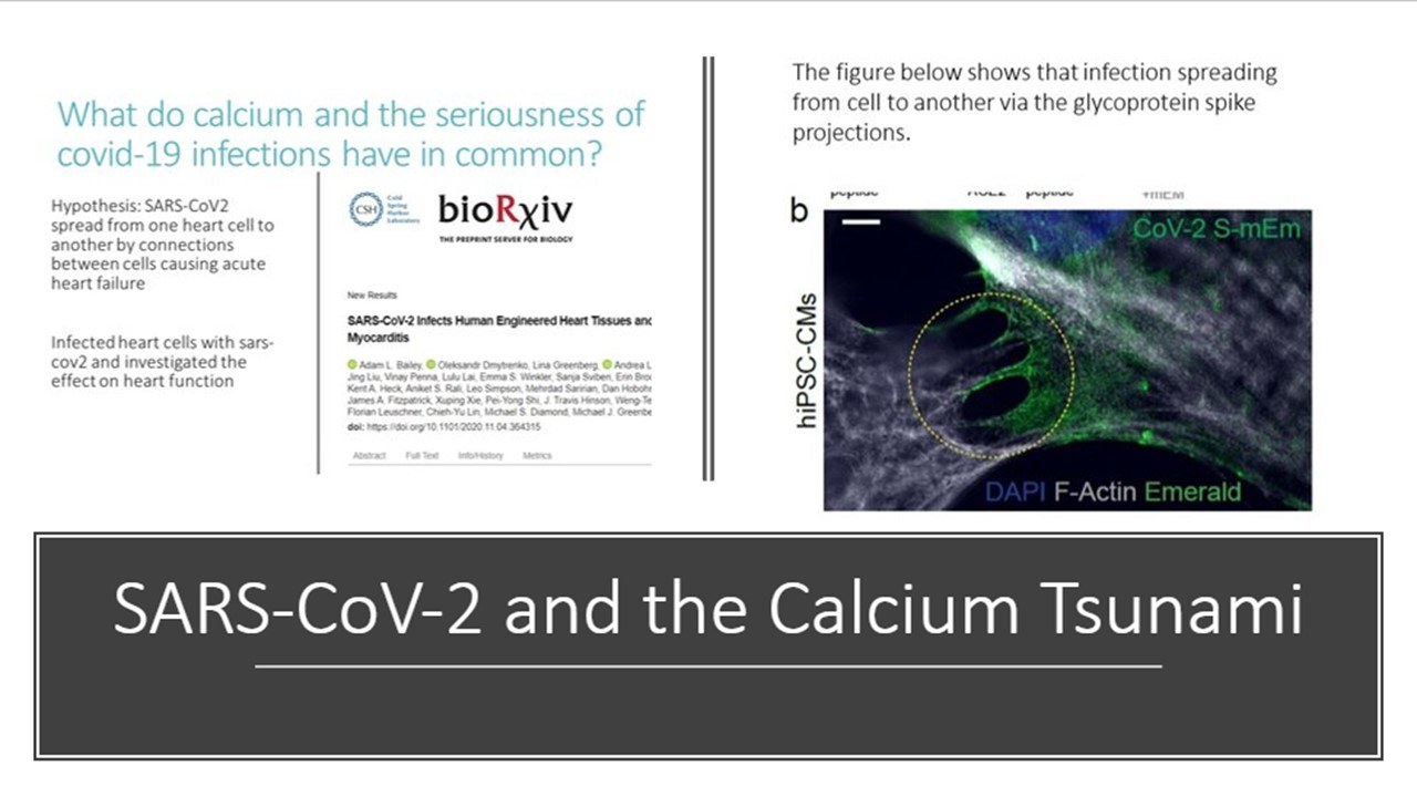 Calcium Tsunami